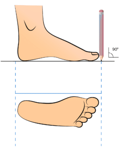 Size matters: how to measure your feet for the perfect sneaker fit Size Matters: How to Measure Your Feet for the Perfect Sneaker Fit - Cartomy
