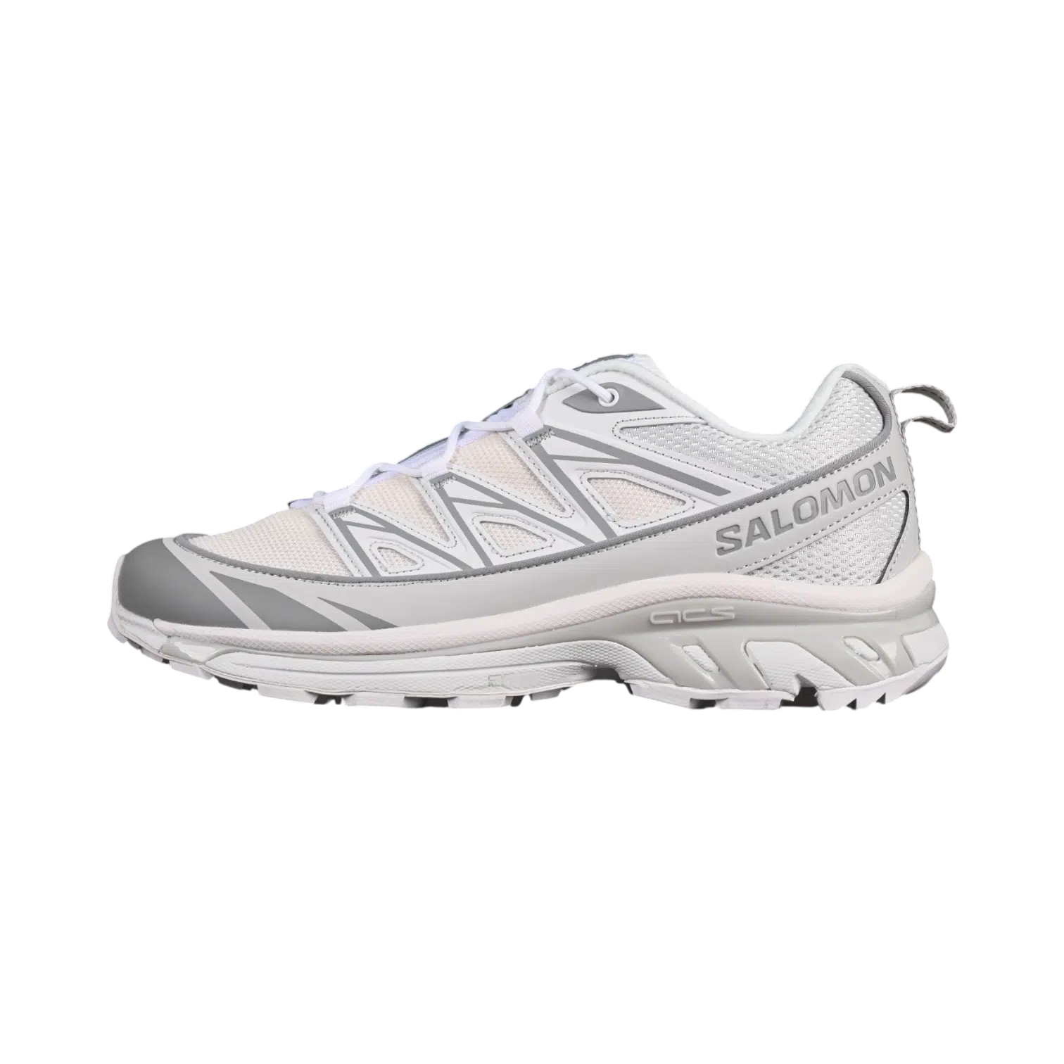 靴 salomon xt-6 CHOROMATIC Salomon XT-6 Chromatic - Cartomy