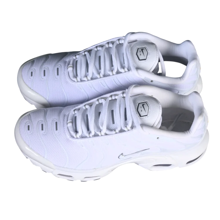 Nike Air Max Plus Anatomic Shoes - Cartomy